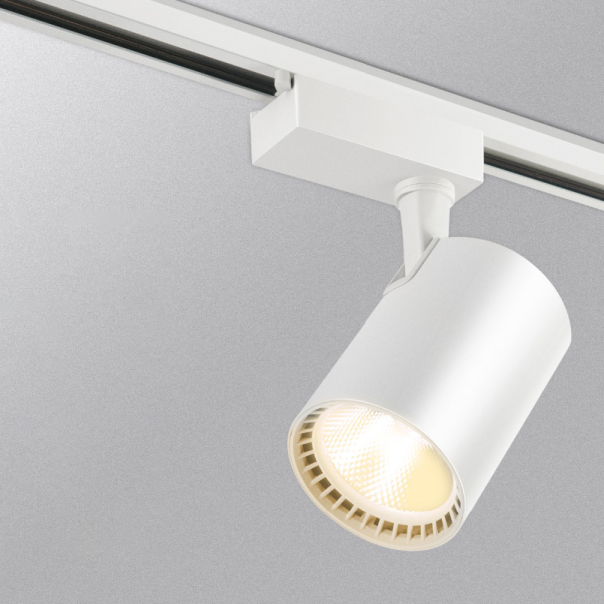 Reflektor LED 30W 6000k 3 faze - 207836