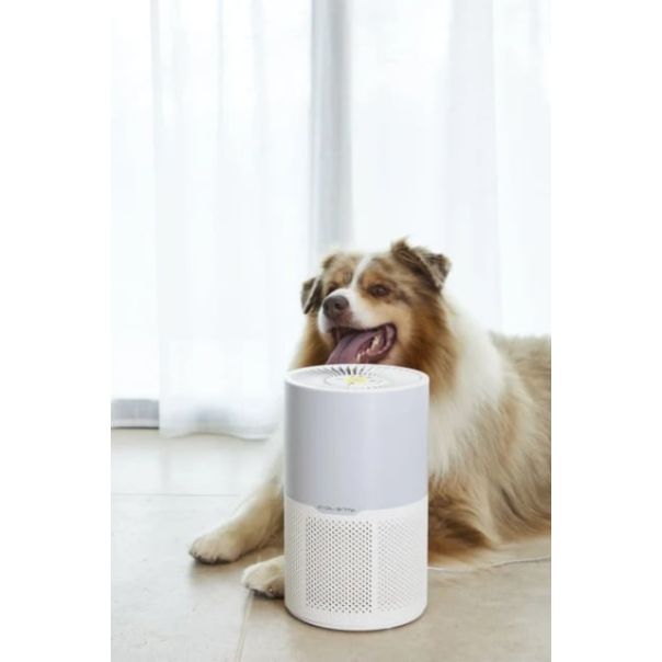 ROWENTA Prečišćivač vazduha PU2220 - 21607-1