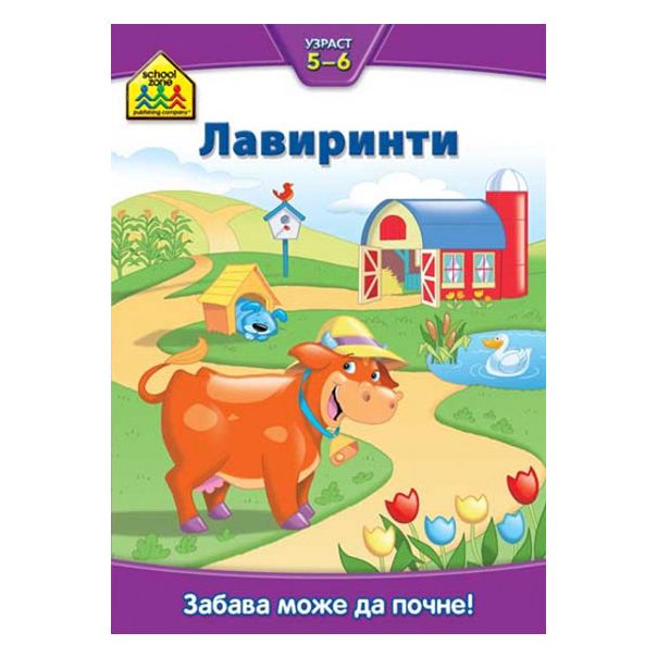 School Zone, Lavirint 5-6 - 9788610003642
