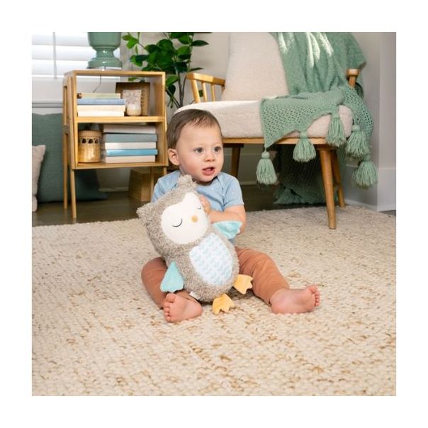 KIDS II Muzička plišana igračka za bebe Ingenuity Nally the owl - SKU12477