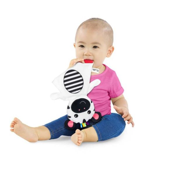 KIDS II Plišana igračka Baby Einstein - Zen The Zebra - SKU12490