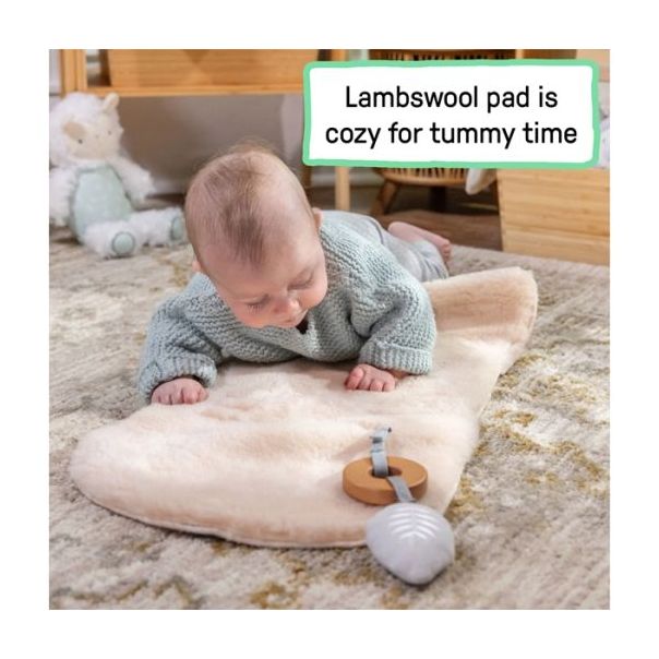 KIDS II Ležaljka Ingenuity Every season - Wesley - SKU16855