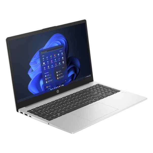 HP 250 G10 (Turbo silver) (725H0EA) 15.6