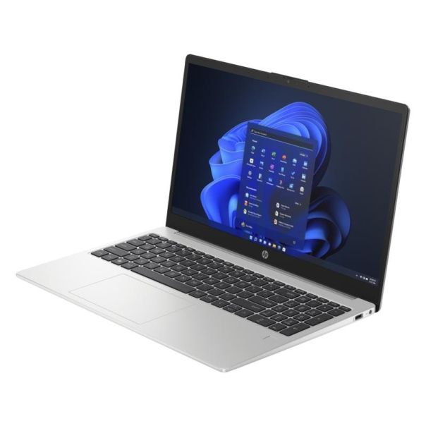 HP 250 G10 (Turbo silver) (725H0EA) 15.6