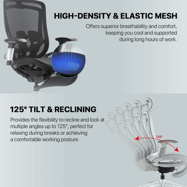 FANTECH Stolica Office OC2 Ergonomska crna - 218226