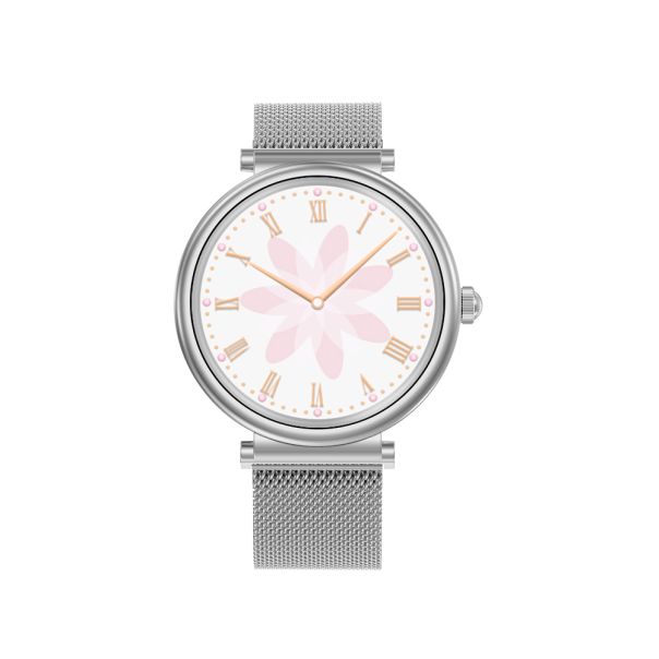 Smart watch sa metalnom narukvicom DTS, srebrna - SW384