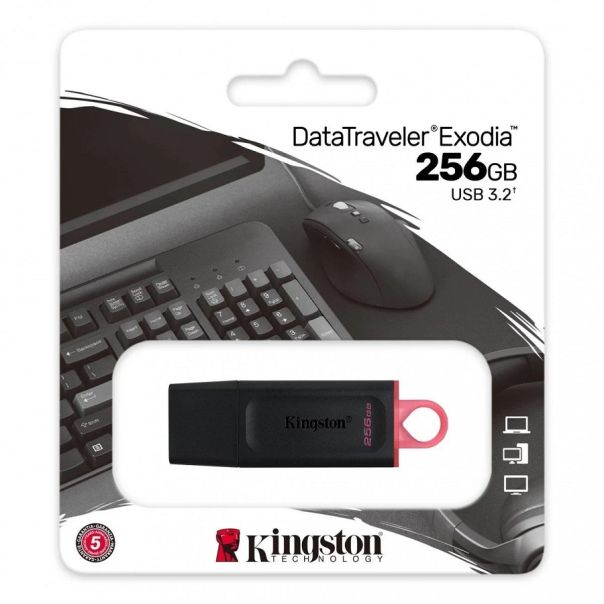 Kingston USB Flash memorija 256GB DTX/256GB - EP3192401
