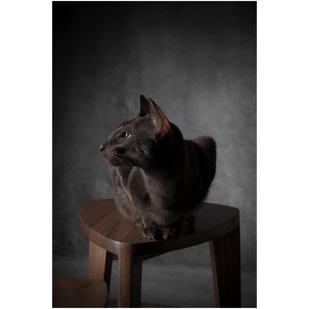 MEDA FURNITURE Takai set pomoćnih stočića - StoTakaiSet35