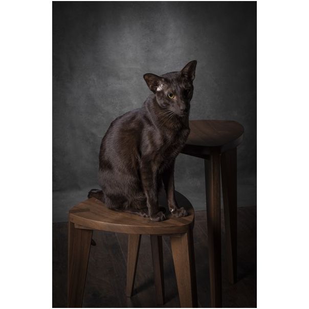 MEDA FURNITURE Takai set pomoćnih stočića - StoTakaiSet35