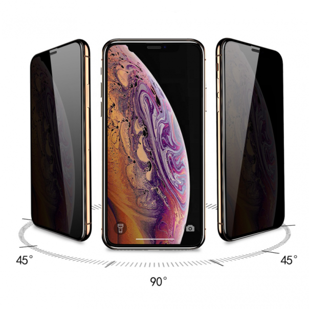 Zastitno staklo Tempered Glass Privacy 2.5D full glue za iPhone XR crni - 72925