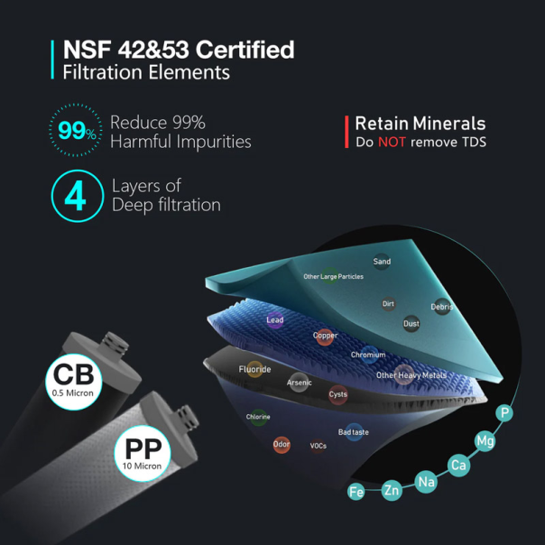 Uložak filter FRIZZLIFE CB10R za DW10F (karbonski) - 619014