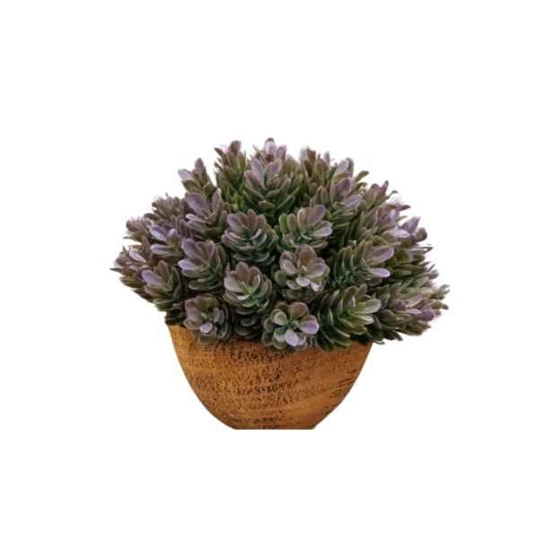 DEKOR DOM Cvet u saksiji - SUCCULENT HX0461 - N38 - 024265