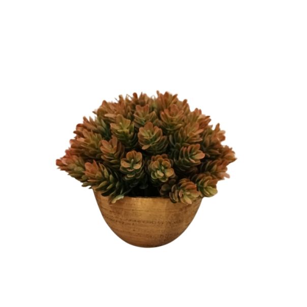 DEKOR DOM Cvet u saksiji - SUCCULENT HX0461 - N38 - 024265