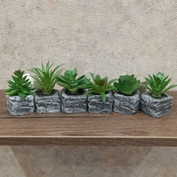 DEKOR DOM Cvet u saksiji - SUCCULENT ROUND 123 - N44 - 024274