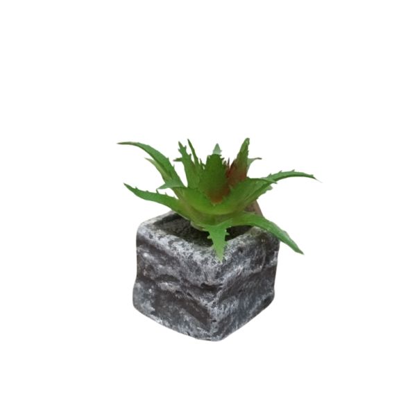 DEKOR DOM Cvet u saksiji - SUCCULENT ROUND 123 - N44 - 024274