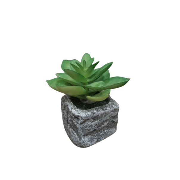 DEKOR DOM Cvet u saksiji - SUCCULENT ROUND 123 - N44 - 024274