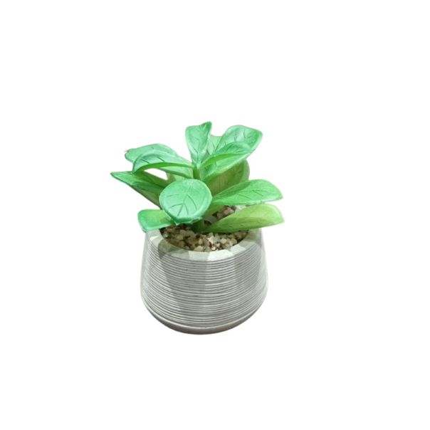 DEKOR DOM Cvet u saksiji - SUCCULENT ROUND 456 - N44 - 024275