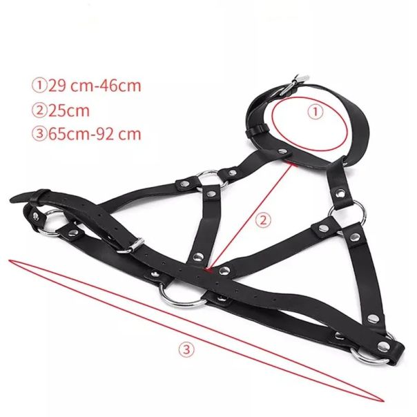 Harness za grudi - EP3175188