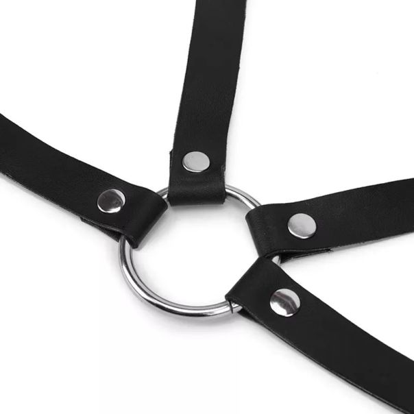 Harness za grudi - EP3175188