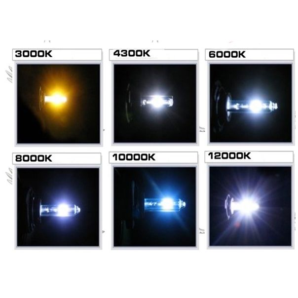 Xenon H11 4300k - 802253