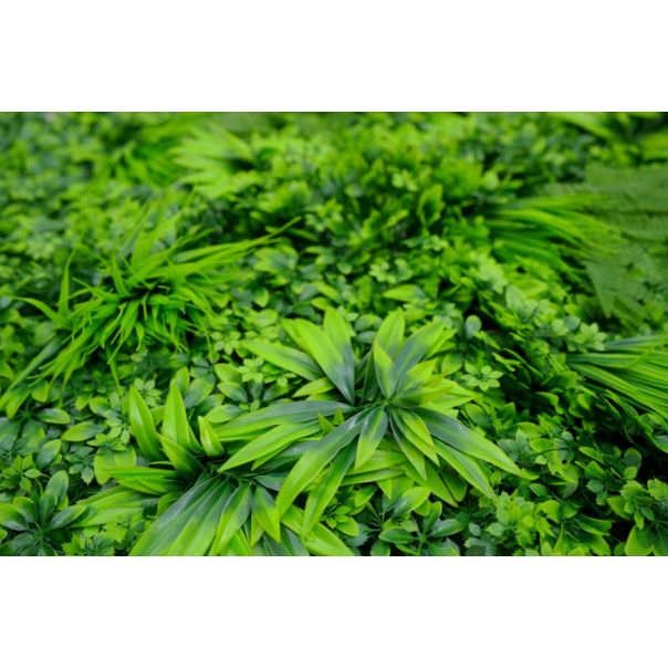 BOLZZ Zeleni zid 100x100cm 3D Amazon 1 - BOLZZIDAMA1