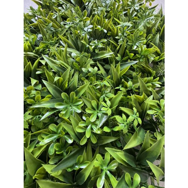 BOLZZ Zeleni zid 40x60cm 3D Flora - BOLZZIDFLORA
