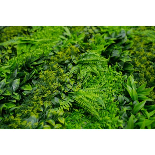 BOLZZ Zeleni zid 100x100cm 3D Lux - BOLZZIDLUX