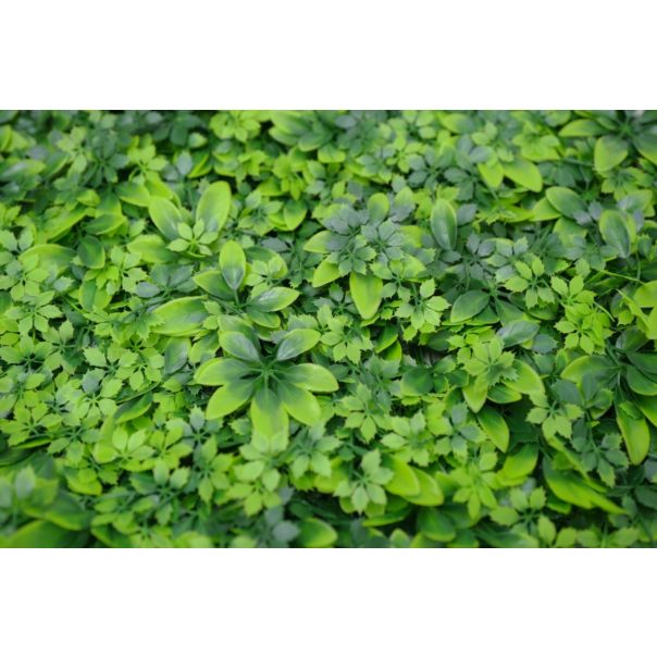 BOLZZ Zeleni zid 50x50cm 3D Nature - BOLZZIDNATURE