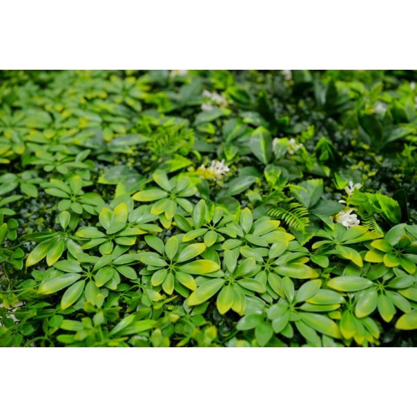 BOLZZ Zeleni zid 100x100cm 3D Tara 1 - BOLZZIDTAR1