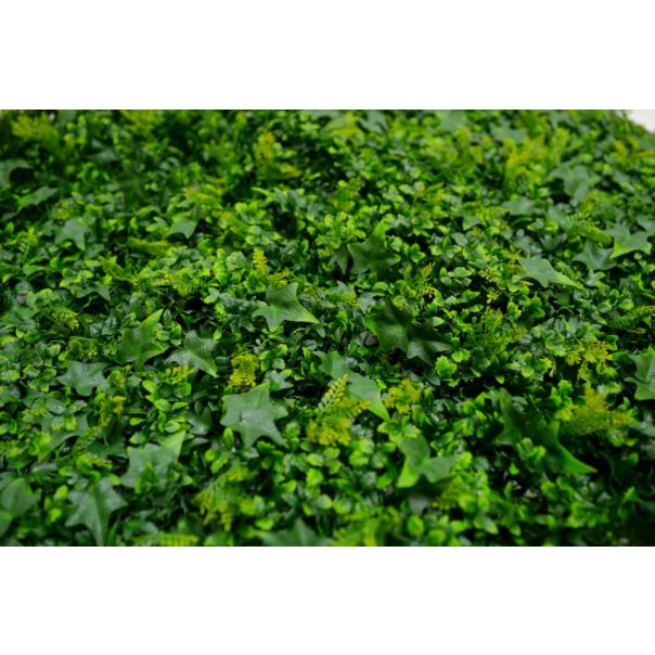 BOLZZ Zeleni zid 100x100cm 3D Tara 2 - BOLZZIDTAR2