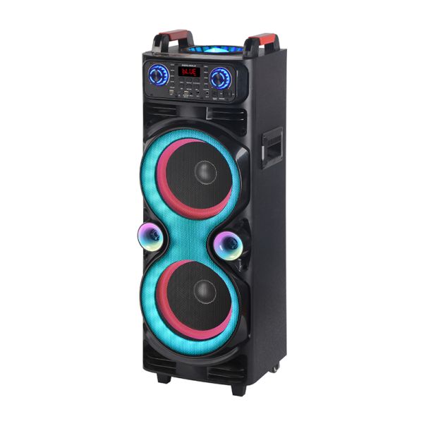 Bežični Bluetooth zvučnik NDR-1100, crna - ZV1019