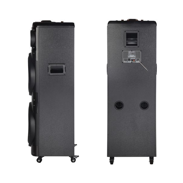 Bluetooth zvučnik NDR-2260 100W, sa dva mikrofona, crna - ZV1137