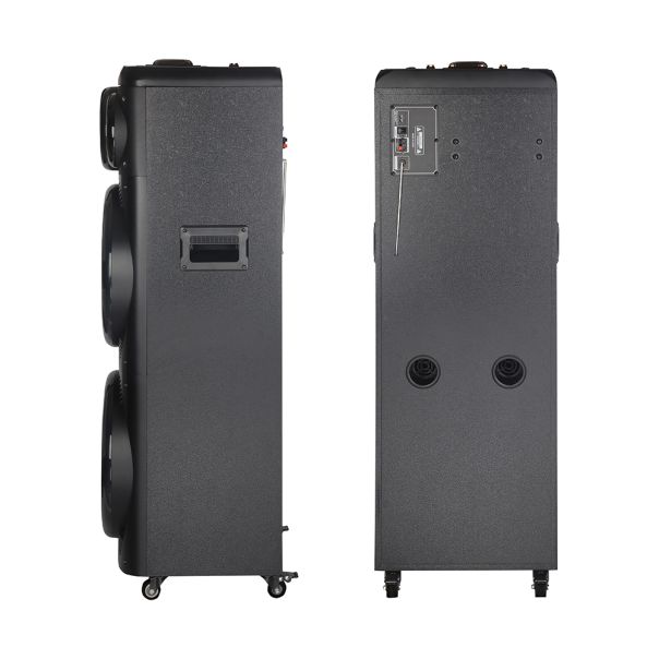 Bluetooth zvučnik NDR-2270 100W, sa dva mikrofona, crna - ZV1138