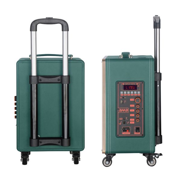 Bežični Bluetooth zvučnik BB-8608 60W, sa dva mikrofona - ZV1141