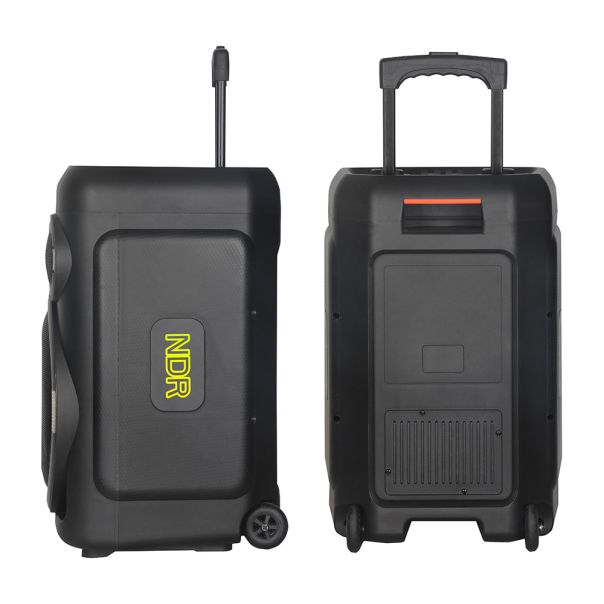 Zvučnik bluetooth NDR-B315 60W 15inca sa dva mikrofona crni - EP2907433