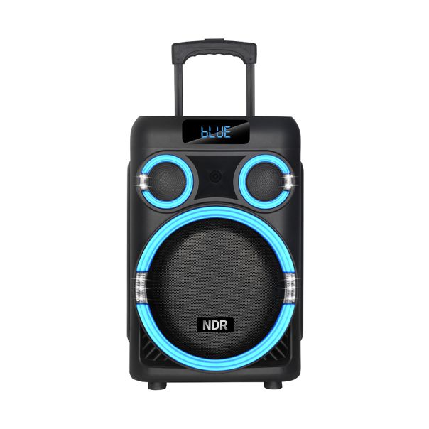 Zvučnik bluetooth NDR-B315 60W 15inca sa dva mikrofona crni - EP2907433