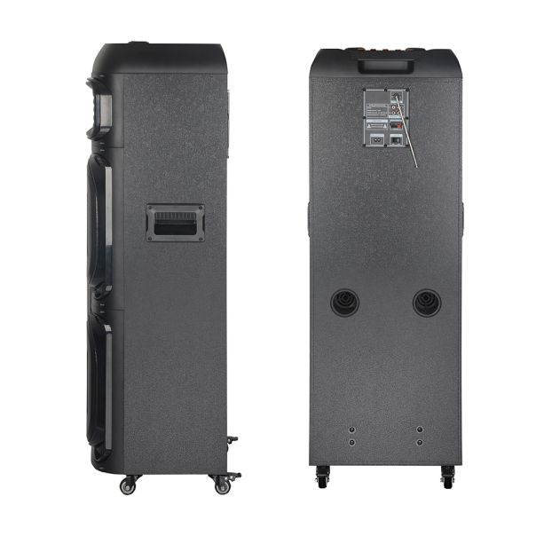 Zvučnik bluetooth NDR-2250 100W 2*12 inca sa dva mikrofona crni - EP2907427