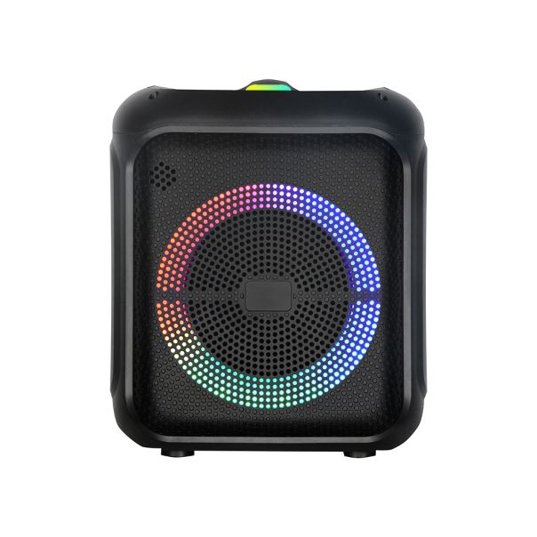 Zvučnik bluetooth NDR-2210 20W 10 inca sa dva mikrofona crni - EP3150627