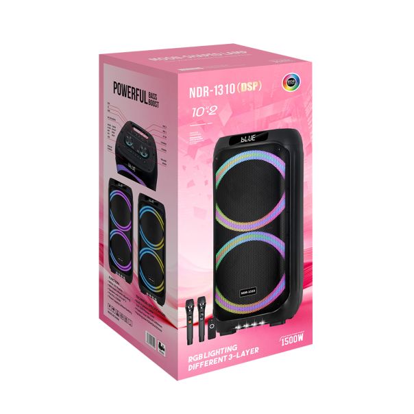 Bežični Bluetooth zvučnik NDR-1310 (DSP) 60W 2*10 inca sa dva mikrofona crni - EP3148332