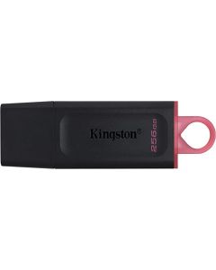 KINGSTON USB flash memorija 256GB USB3.2 DTX/256GB - 00001204552