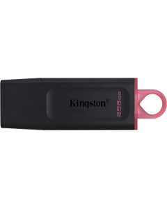 KINGSTON USB flash memorija 256GB USB3.2 DTX/256GB - 0001204552