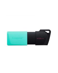 KINGSTON Usb memorija DTXM/256GB - 0001265478