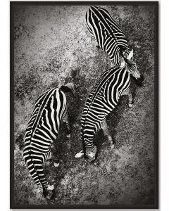 DEKOR DOM Slika sa ramom 27x37cm Zebra - 022872