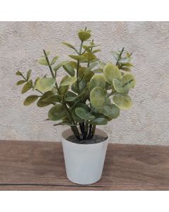 DEKOR DOM Cvet u saksiji - SUCCULENT 0038-38A - N38 - 024264