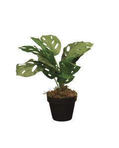 DEKOR DOM Cvet u saksiji - MONSTERA CALATHEA ZD-241325 - 36cm - N55