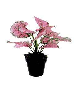 DEKOR DOM Cvet u saksiji - MONSTERA PINK ZD-241321R - 36cm - N55