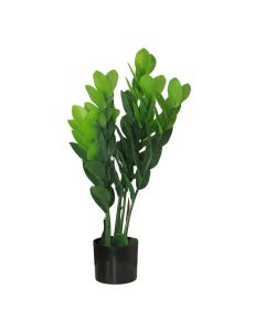 DEKOR DOM Cvet u saksiji - MONEY GRASS 5pcs - N60