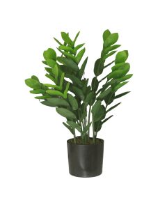 DEKOR DOM Cvet u saksiji - MONEY GRASS 7pcs - N60