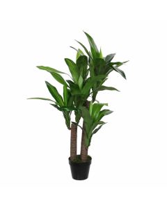 DEKOR DOM Drvo u saksiji DRACAENA 150cm 1102068 - EDL