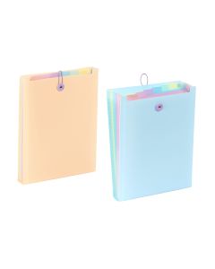 VIQUEL Expanding organizer sa 6 pregrada i gumicom USPRAVNI Rainbow Pastel